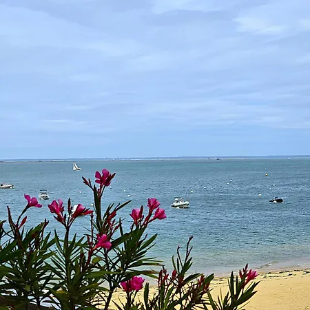 Lagrange Les Residences Du Bassin 公寓 阿卡雄
